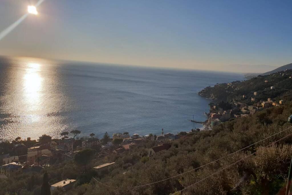 Pace Tra Gli Ulivi E Il Mare Сasa de vacaciones Sori
